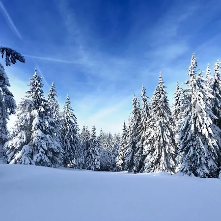 Le Petit Ballon Ventron