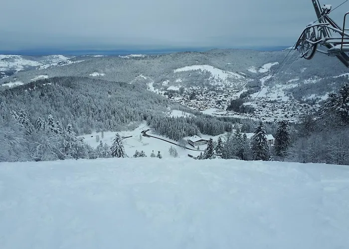 Appartement Le Petit Ballon Ventron